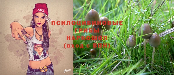 индика Алексеевка