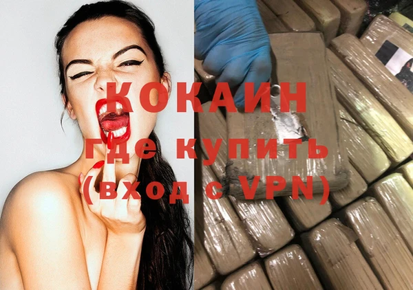 индика Алексеевка