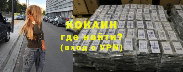 индика Алексеевка