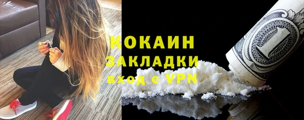 индика Алексеевка