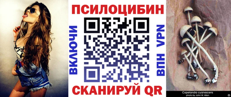дарнет шоп Новочеркасск Псилоцибиновые грибы Magic Shrooms