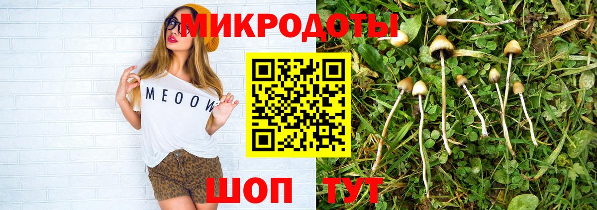Псилоцибиновые грибы прущие грибы  Вход с VPN  Новочеркасск 