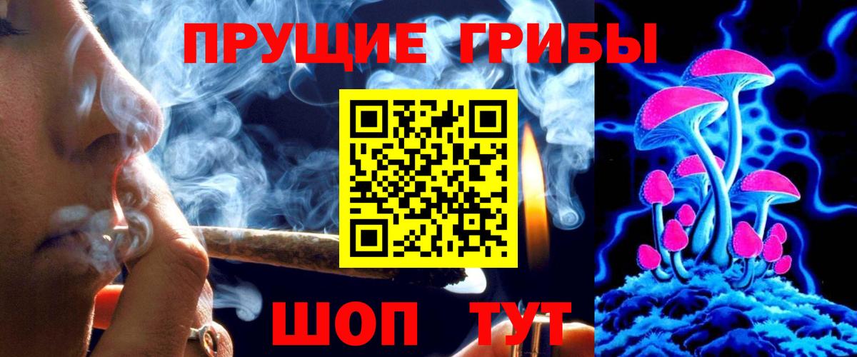 Псилоцибиновые грибы мицелий Новочеркасск
